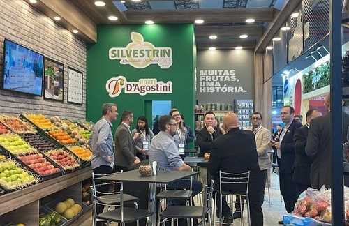 PLANTIO E CULTIVO